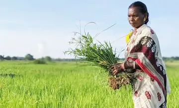 farming