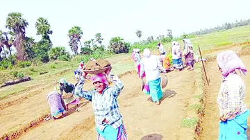 కరువు విలయతాండవం