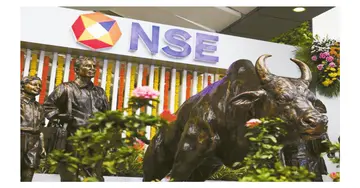 NSE shares plunge 9 percent..!