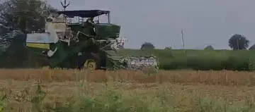 soybean harvest