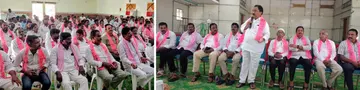 'Graduate MLC' elections