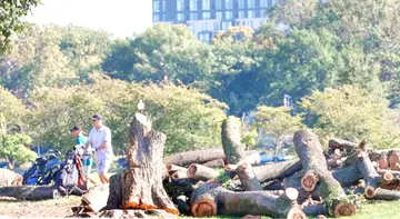 Do not cut down trees.