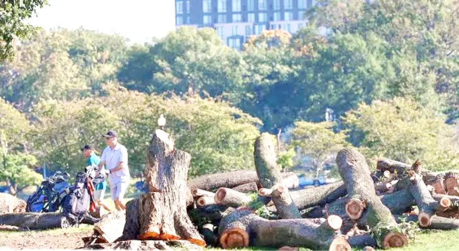 Do not cut down trees.