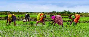 She is the backbone of the rural economy.
