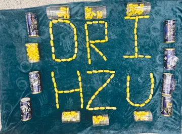 Cocaine worth ₹24.5 crore seized at Shamshabad Airport.