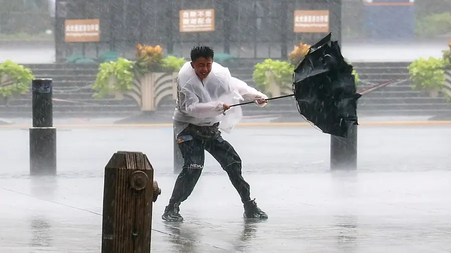 Umbrella