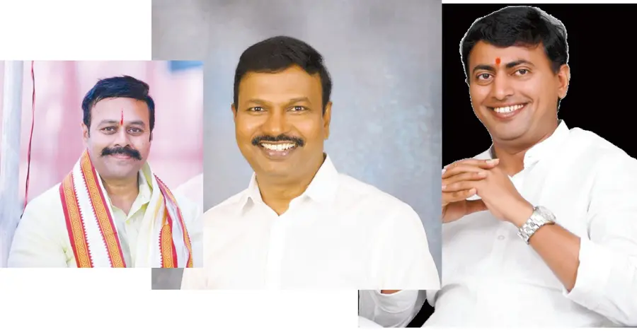 The Battle for the Graduates' MLC Seat