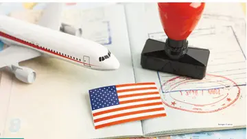 Three lakh visas cancelled