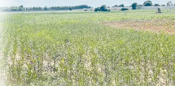 Troubles for farmers under Section 22A