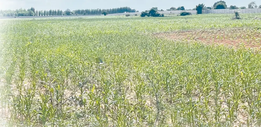 Troubles for farmers under Section 22A