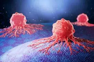 ‘Cancer’ calculations are now precise!