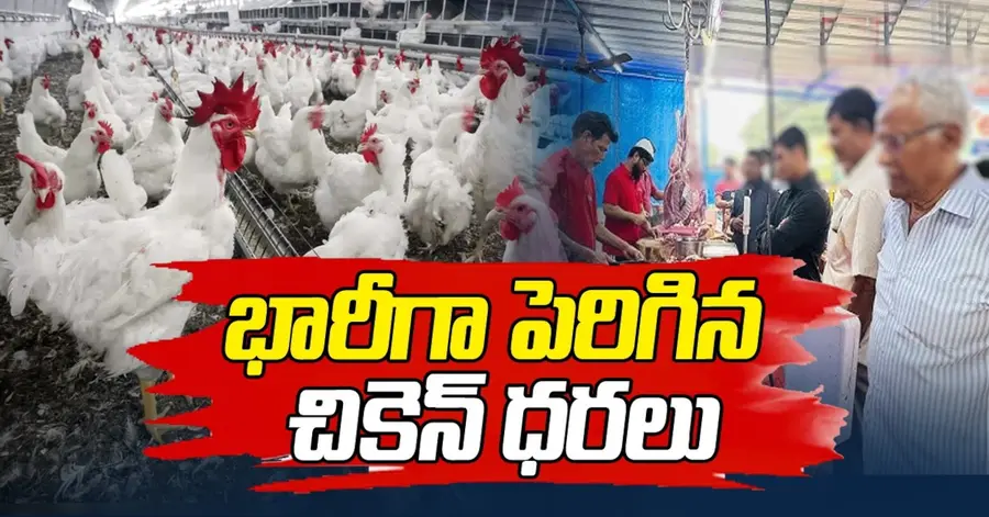 Chicken prices