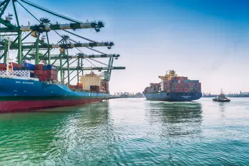 Massive seizure of Chinese fireworks at Chennai port