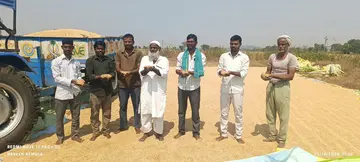 Farmers' hardships.. vultures' milk!