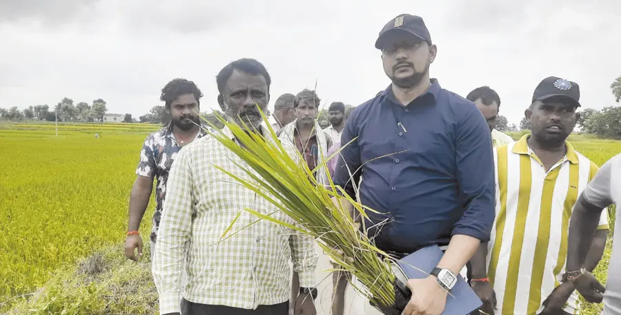 agricultural