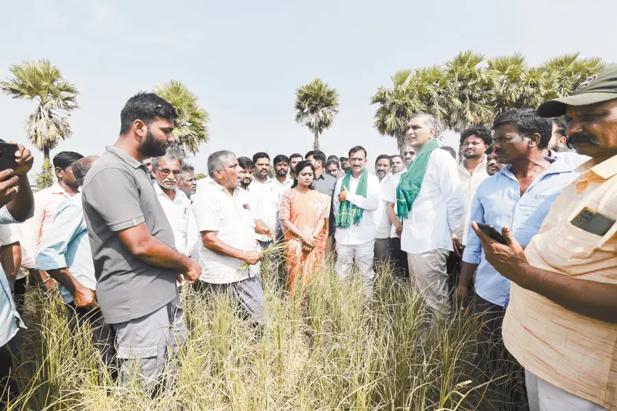 కరోనాలాంటి అంతర్జాతీయ విపత్తును