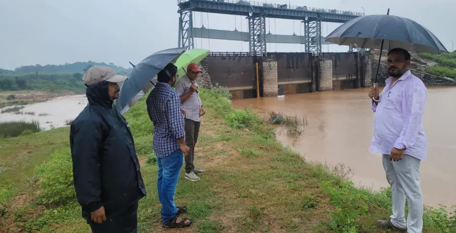 peddavagu