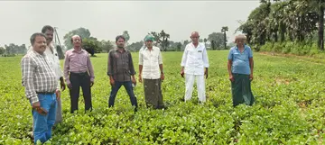 khammam