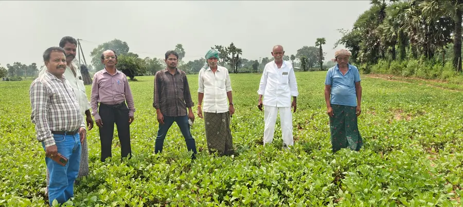 khammam