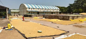 market yard
