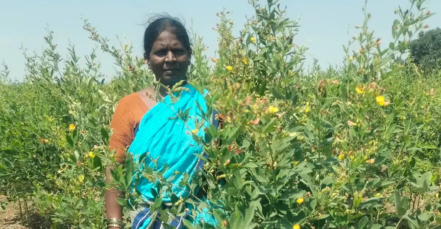 Chandramma