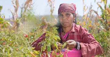 A tribal farmer