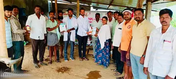 Veterinary camps