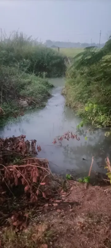 water wasted