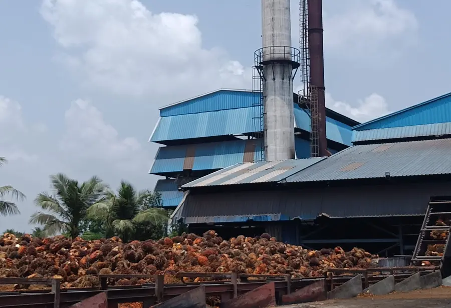 palm oil factory