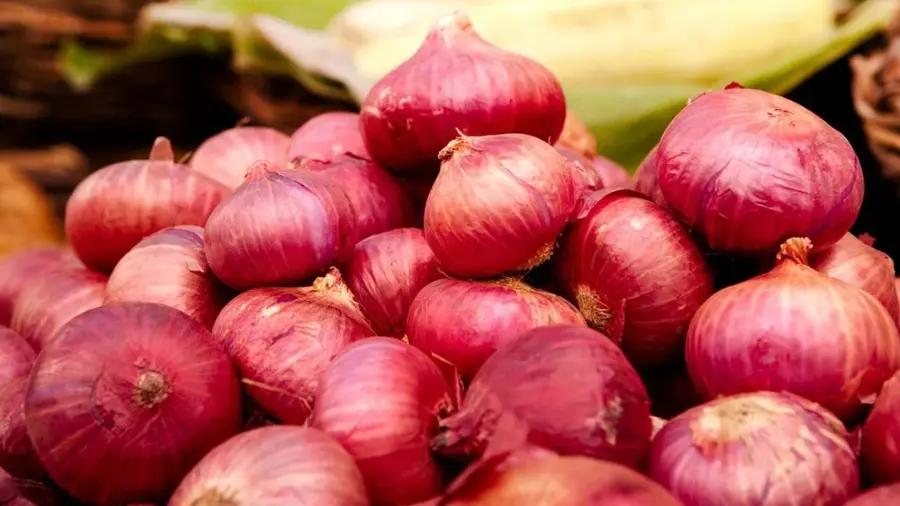 onion prices