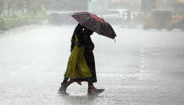 Rain