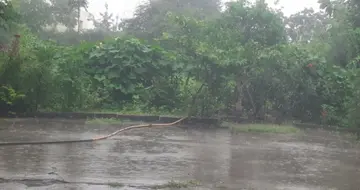 heavy rains