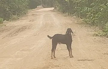 road