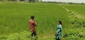 The number of crops