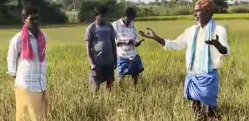 Fields drying up