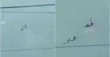 Training aircraft