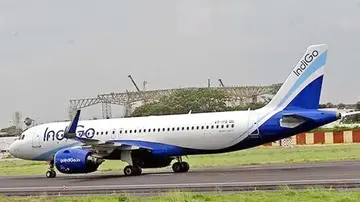 Indigo