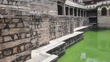 Hydra