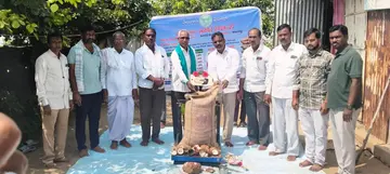 Rice purchasing centers opened