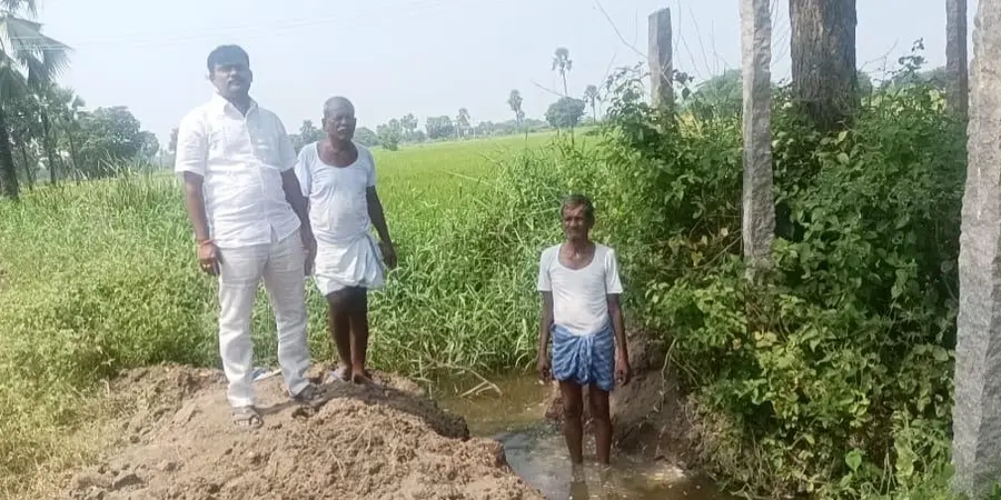 Sewage for crops