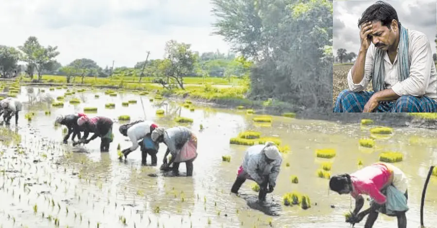 tenant farmers