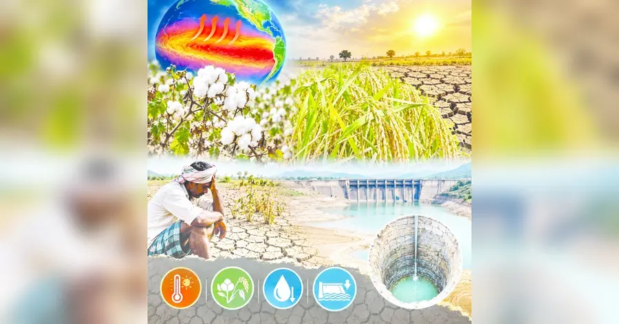 El Niño effect