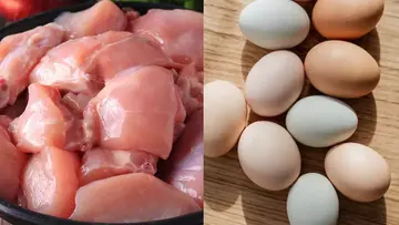 chicken
