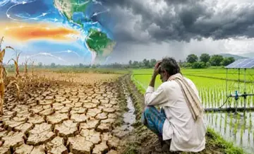 farmer