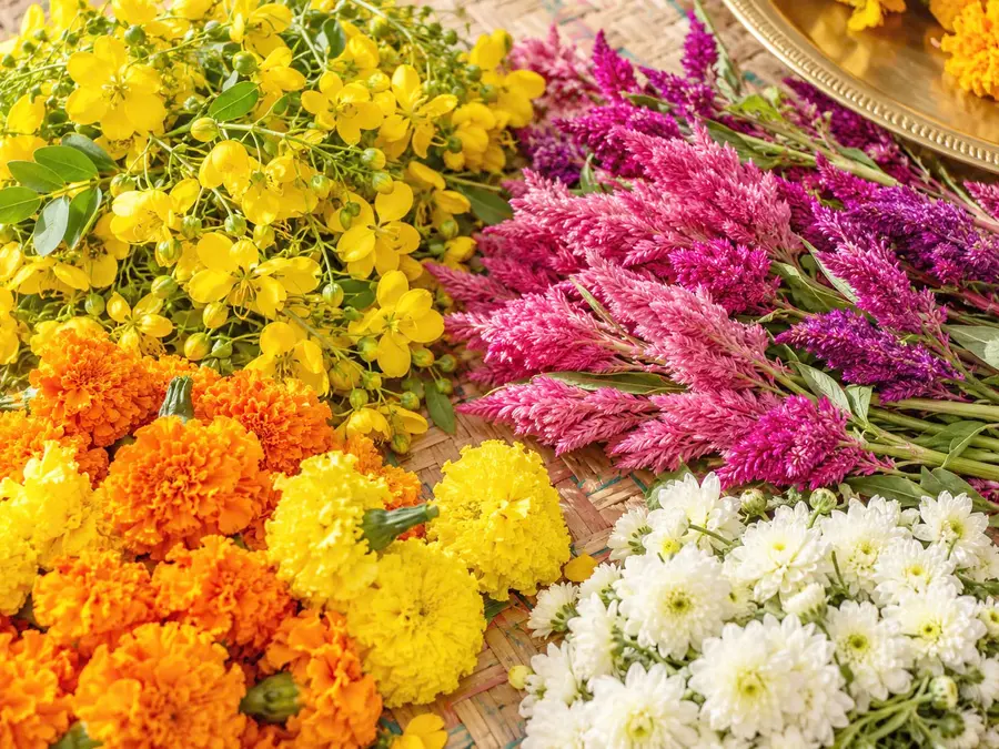 flower-strewn ground