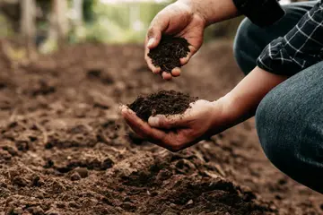 soil health as a goal