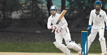 cricket