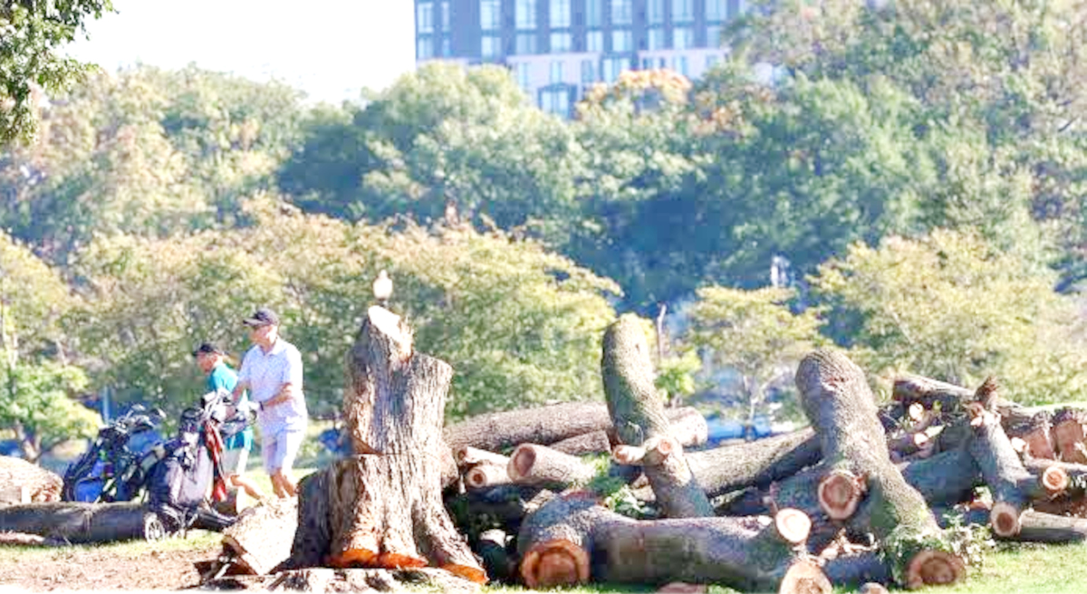 Do not cut down trees.
