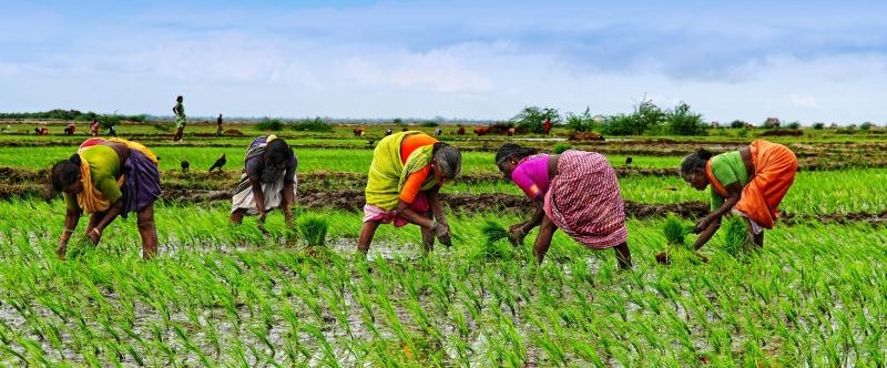 She is the backbone of the rural economy.
