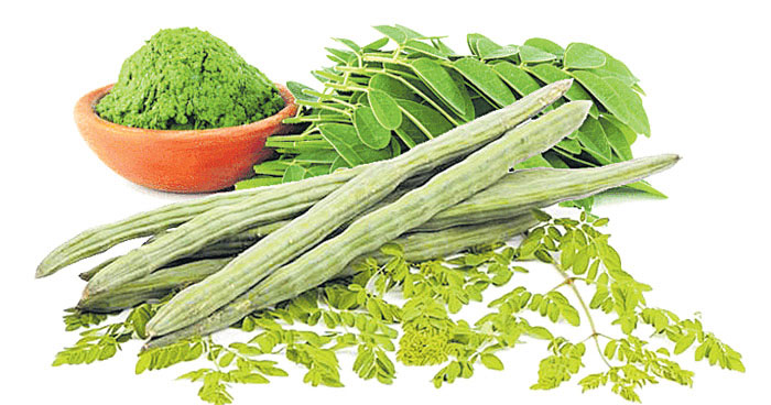 Benefits of Drumstick Leaves
